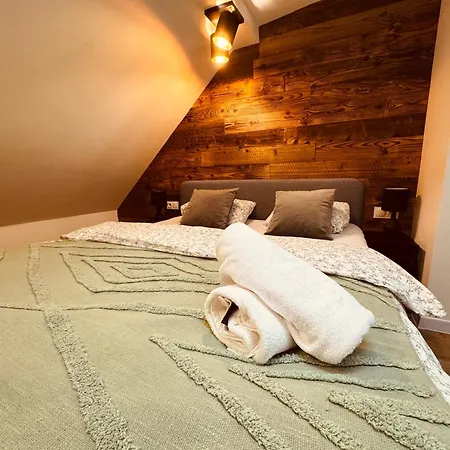 Kobiela Luxury Loft Center דירה קטוביץ