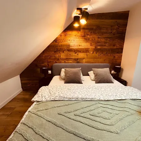 Kobiela Luxury Loft Center * Kattowitz