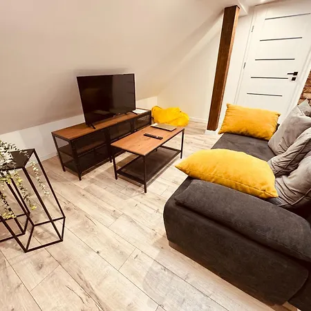 Kobiela Luxury Loft Center Apartment