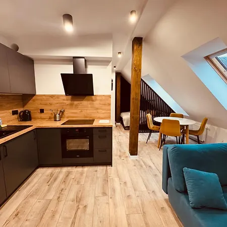 Kobiela Luxury Loft Center Apartment