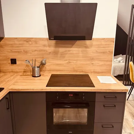 Apartment Kobiela Luxury Loft Center