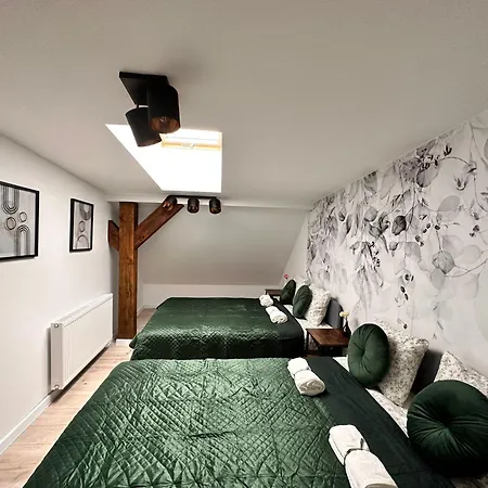 Lofty Kosciuszki 31b דירה