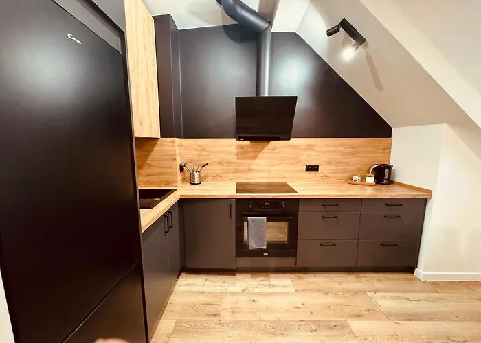 Daire Kobiela Luxury Loft Center Katoviçe