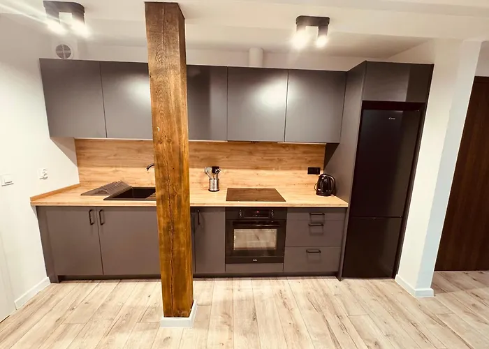 Daire Kobiela Luxury Loft Center Katoviçe