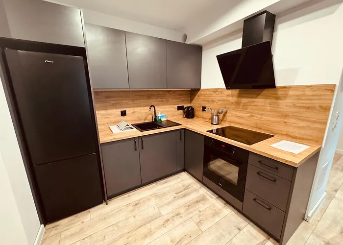 Kobiela Luxury Loft Center Appartamento *